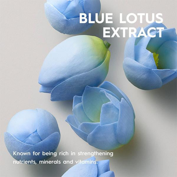 KERASILK - COMBLEUR DE CUTICULE