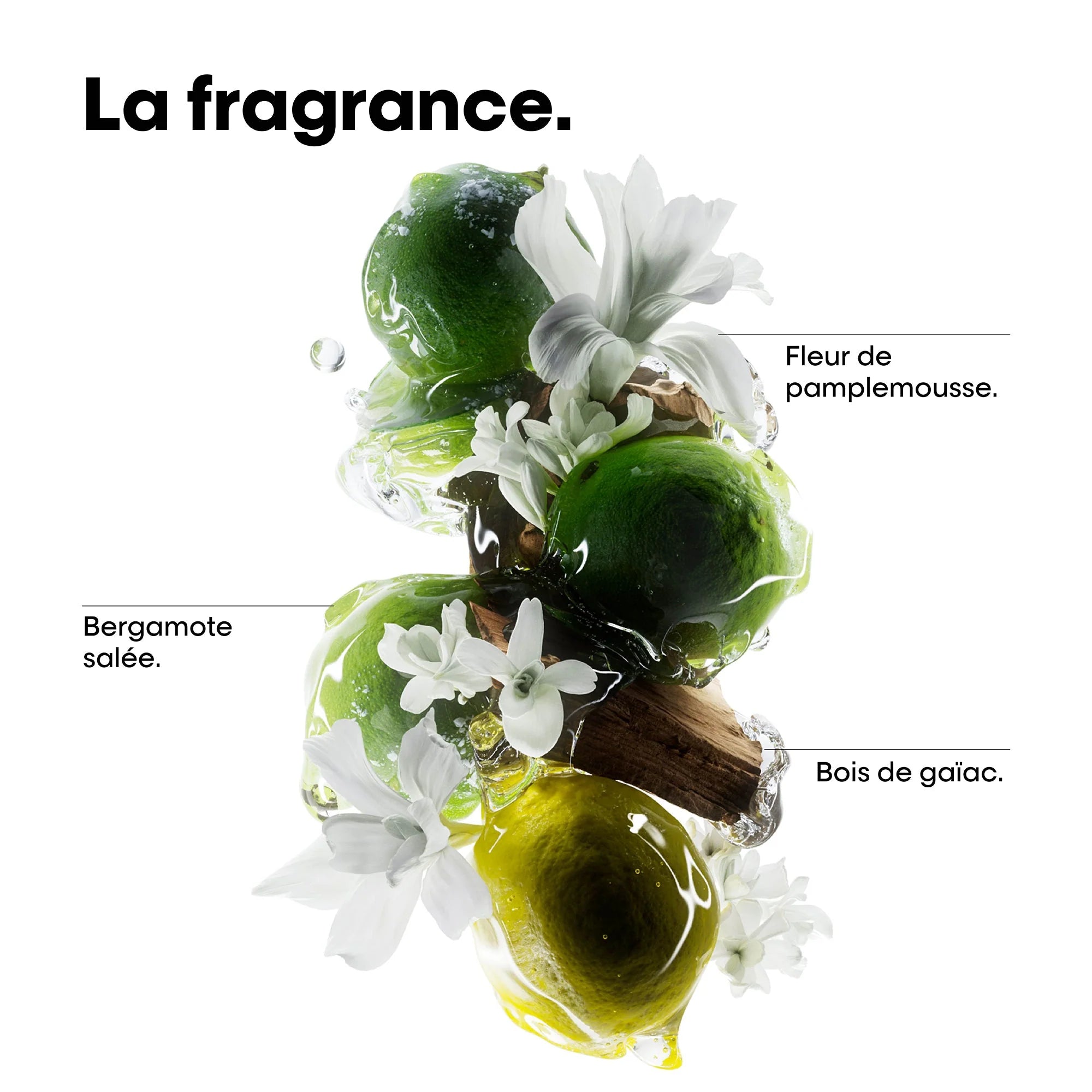 L'ORÉAL - COFFRET METAL DETOX